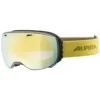 Alpina Big Horn HM Spherical Ski Goggles -Oak Ski Shop alpina big horn hm spherical ski goggles