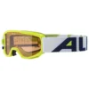 Alpina Piney Ski Goggles -Oak Ski Shop alpina piney ski goggles