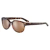 Cébé Phoenix Sunglasses -Oak Ski Shop cebe phoenix sunglasses