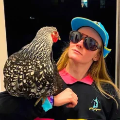 Pit Viper The LandLocked Polarized Sunglasses -Oak Ski Shop pit viper the landlocked polarized sunglasses 3