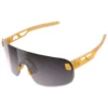 POC Elicit Sunglasses -Oak Ski Shop poc elicit sunglasses